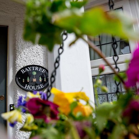 Bay Tree House Bed & Breakfast Barnet Dış mekan fotoğraf