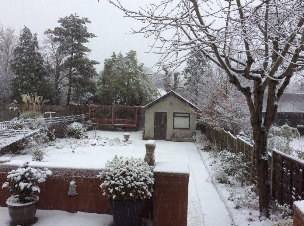 Bay Tree House Bed & Breakfast Barnet Dış mekan fotoğraf